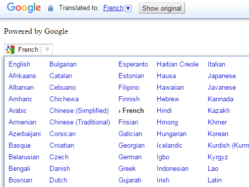 google web translator toolbar